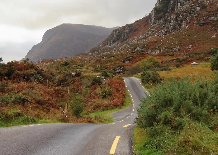 Susie's * Бофорт