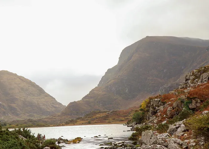 Susie's * Бофорт